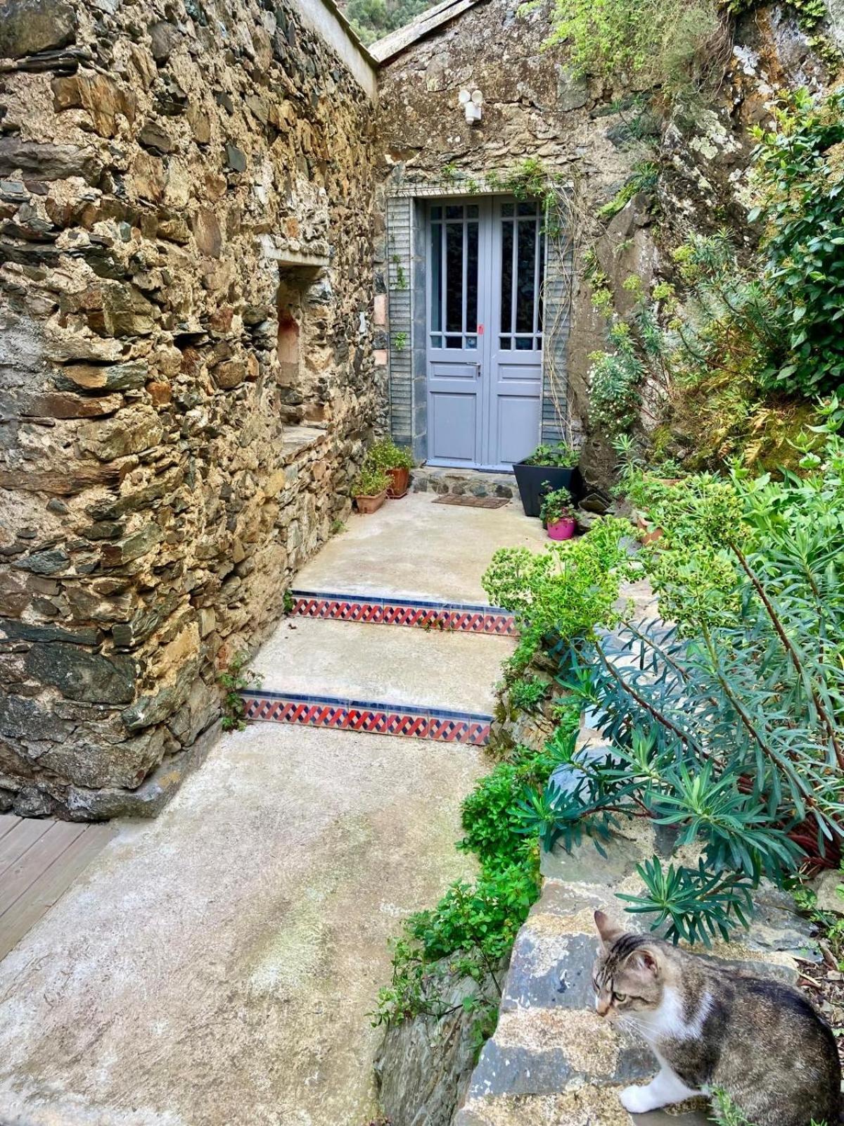 4 Star Cabaret Lastours 4 Chateaux Amazing Cathar Landmark Private Luxury 4 Star Air Conditioned Terrasse With Views Exterior photo